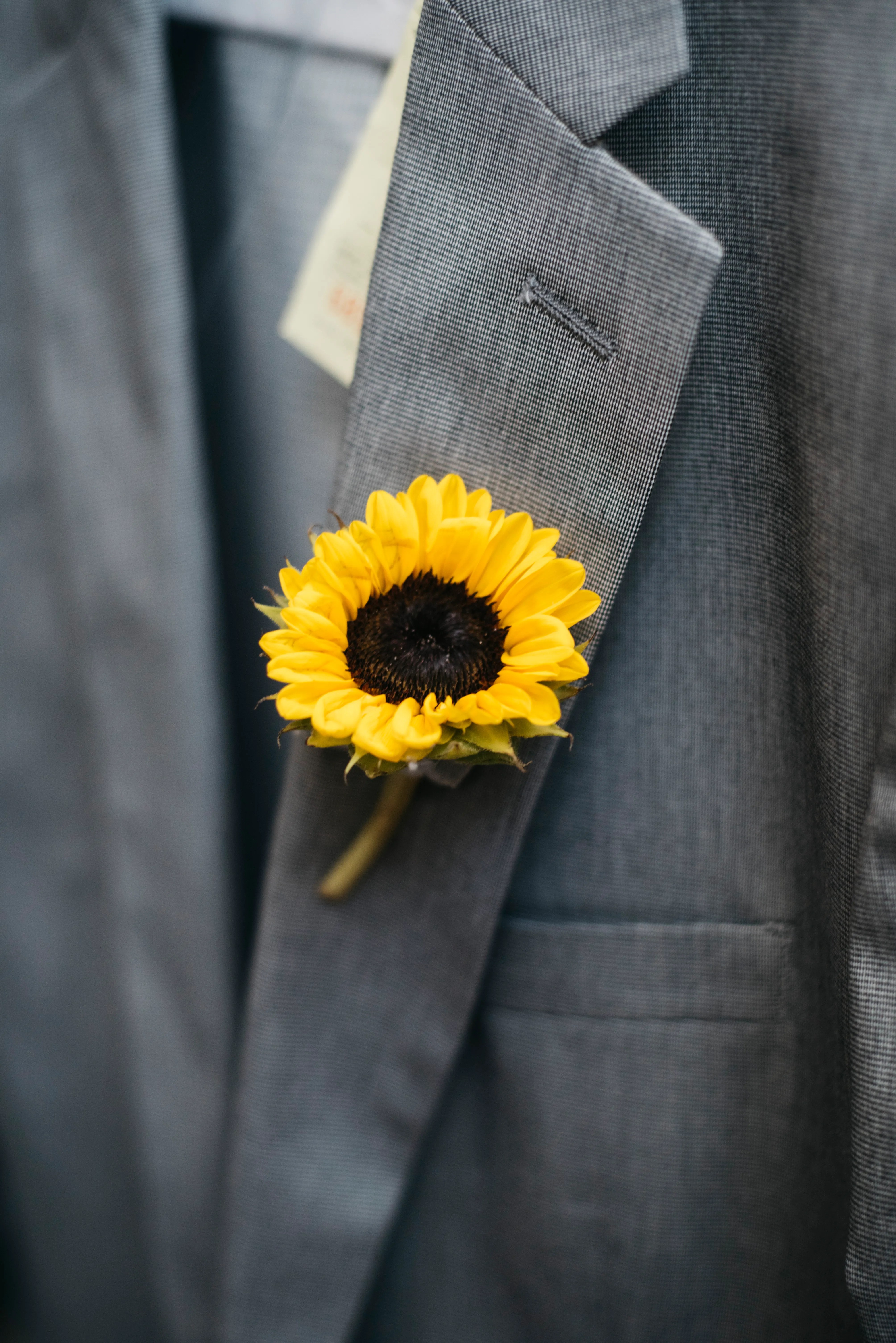 16+ Best Wedding Venues In Hampshire / 20 Trending Messy Wedding Updo Hairstyles Youâll Love / Here are five cheap places to get married without settling for a trip to the courthouse.