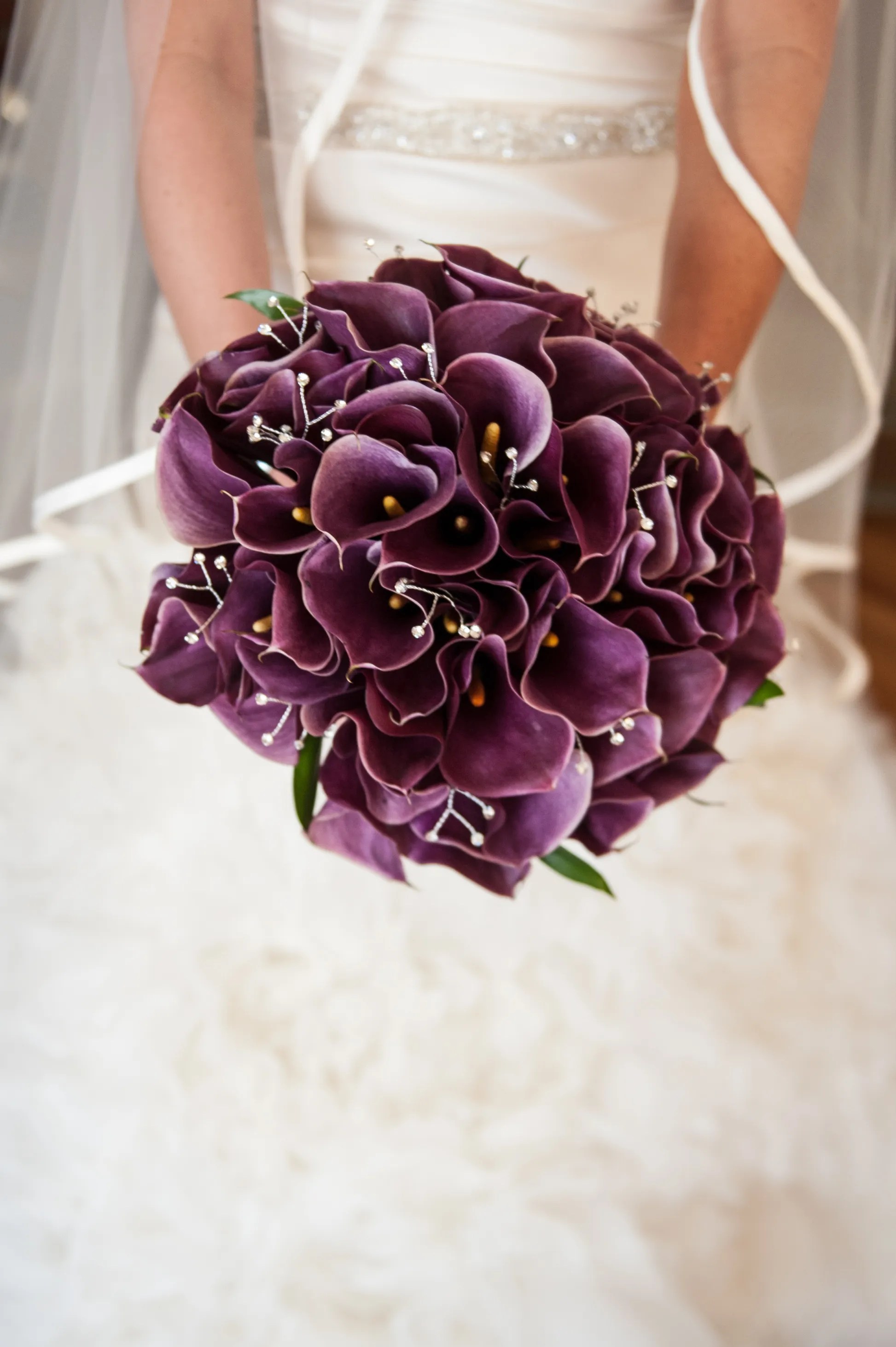 26+ New White And Purple Calla Lily Wedding Bouquet - 25 Creative and Unique Succulent Wedding Bouquets Ideas : Blue calla lily wedding bouquets, home decoration, floral arrangement and more ribbon decoration.