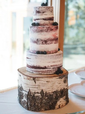 rustic cake cakes velvet naked designs decorations season any inspiration stand theknot blair nicole purple pink winter
