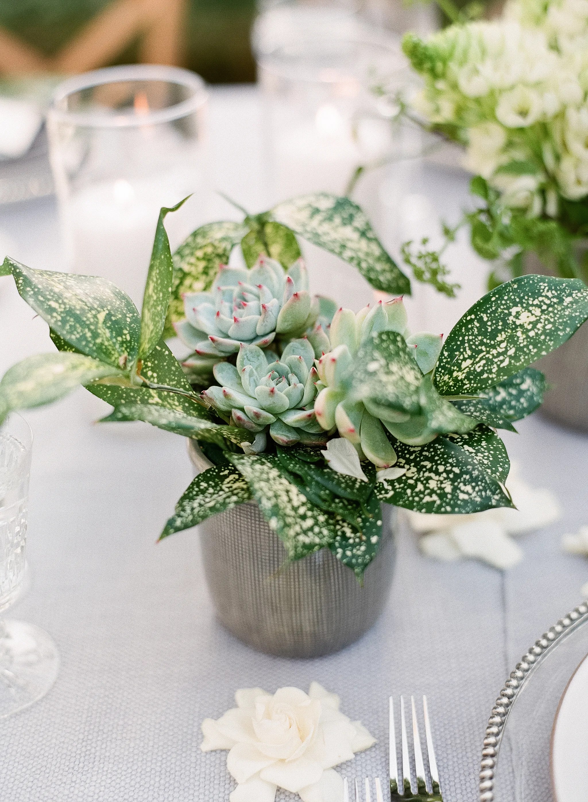 Gold wedding ring in a wooden ring: Eco-Friendly Succulent Centerpieces