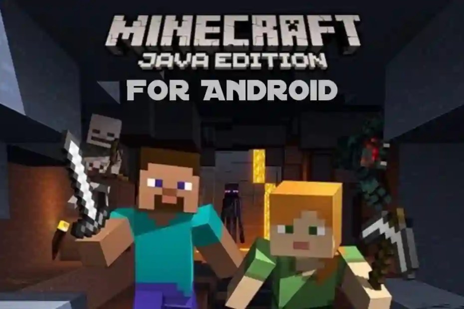 Minecraft Java Edition Apk