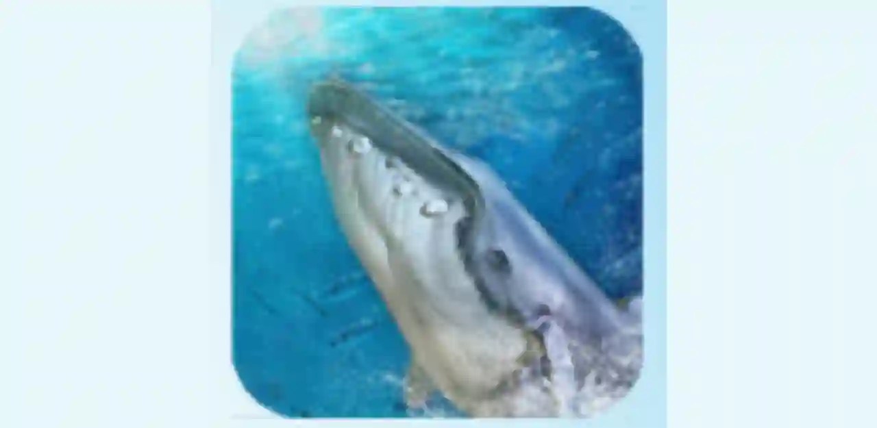 Blue Whale Game Mod Apk