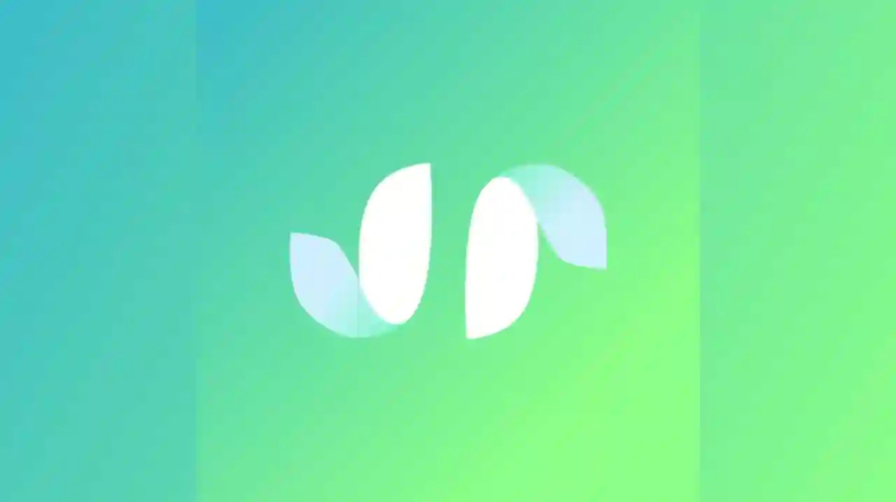 HiFace Mod Apk