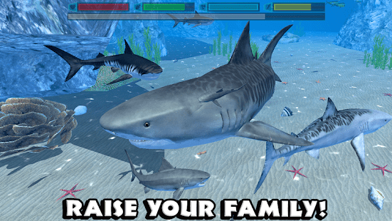 Telechargez Ultimate Shark Simulator Mod Apk 1 1 Unlimited Money 1 1 Pour Android Hunt down food in the coral reefs raise a family of sharks and swim through the seaweed forests stalking prey like squid turtle dolphin and whales.