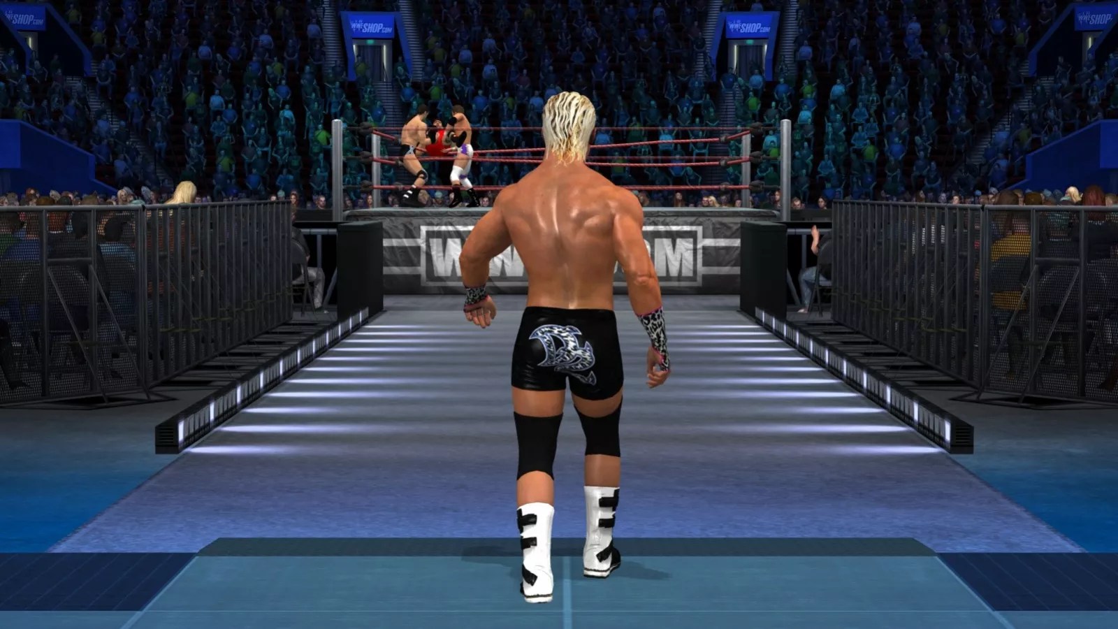 WWE SmackDown Vs. Raw 2011 3