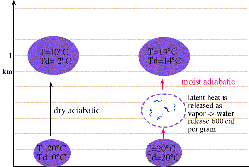 Dry versus Moist-Adiabatic Processes