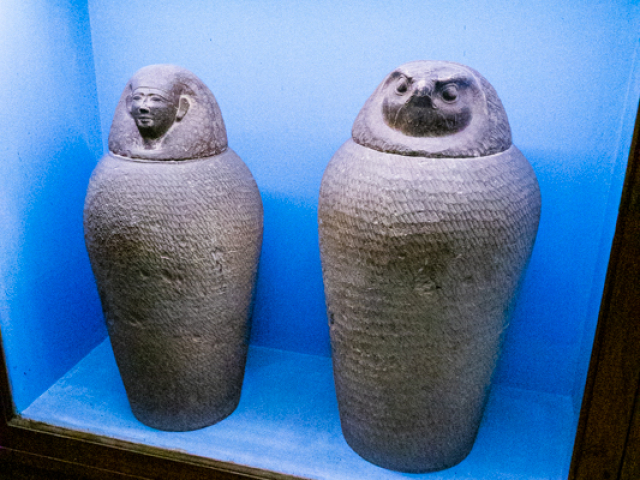 DSC04294.jpg
