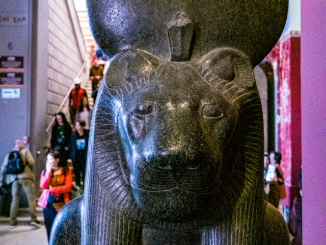 DSC04376.jpg
