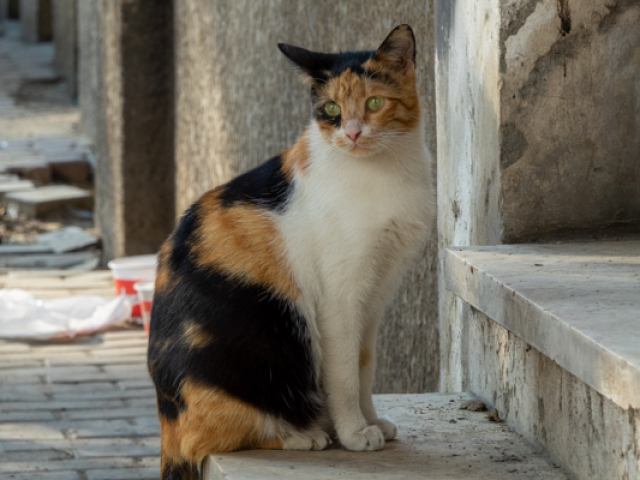 DSC05123.jpg