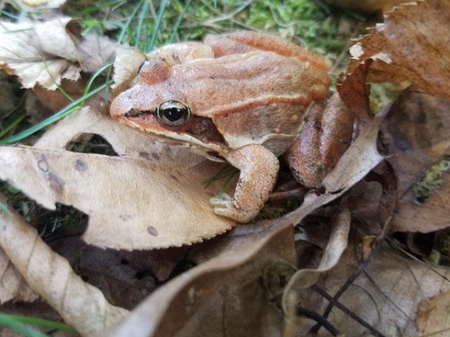 20161007_173422.jpg