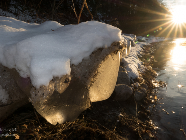 DSC01576.jpg