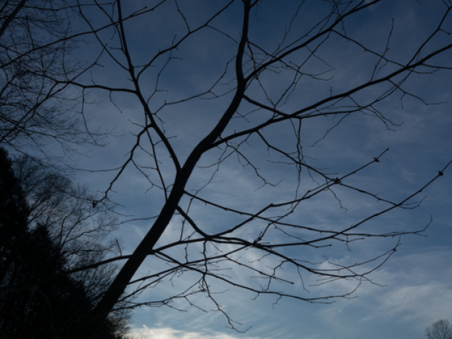 DSC01609.jpg