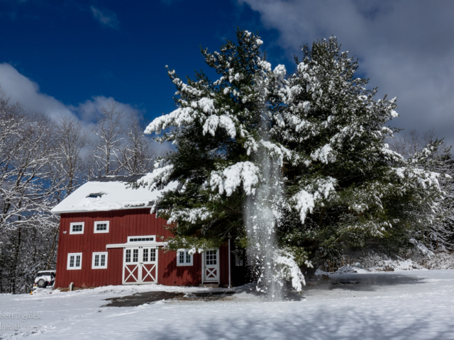 DSC03226-2.jpg