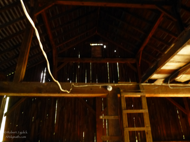 P1070231.jpg