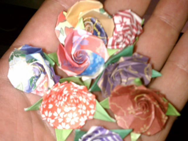 IMAG0221.jpg