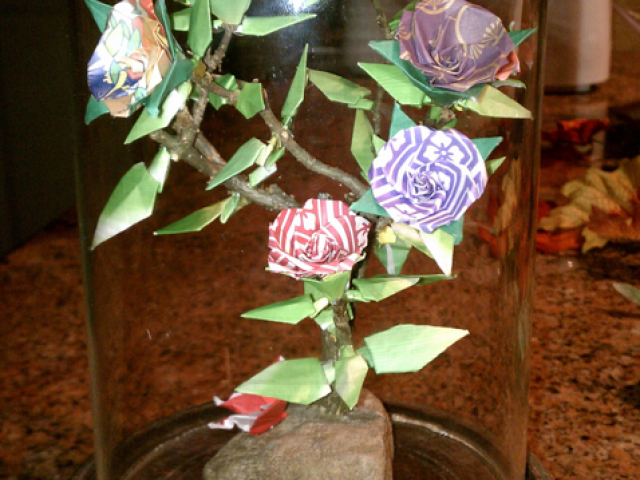 IMAG0240.jpg