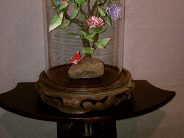 IMAG0243.jpg