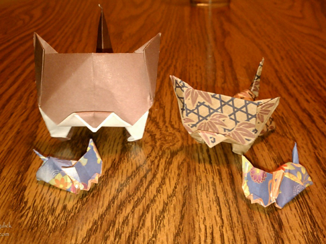 IMAG0535.jpg