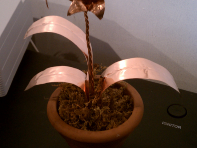 IMAG0556.jpg