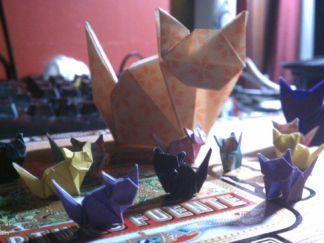 IMAG0744.jpg