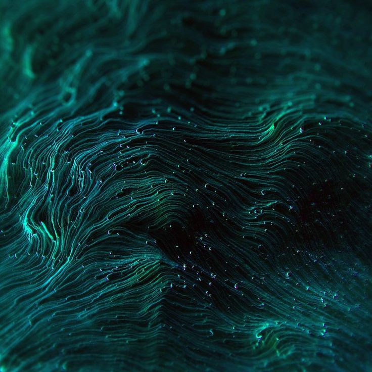 Devxp Developer S Blog - Premium Light Background Gallery - Ultra HD