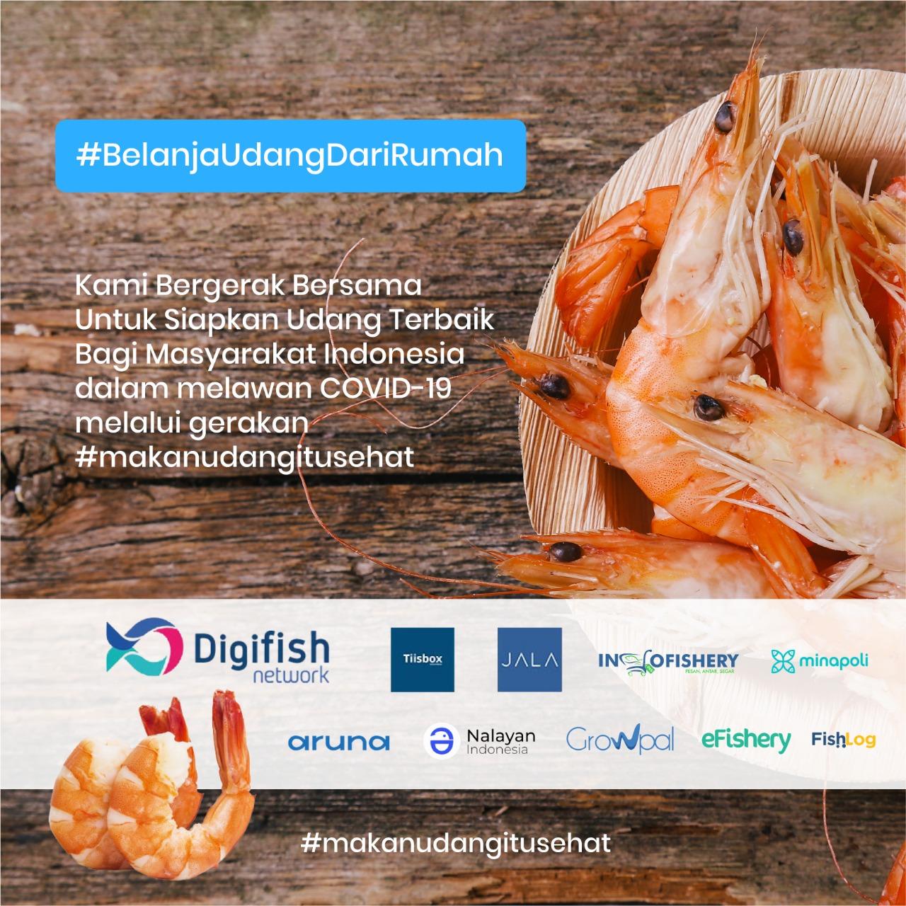 Ayo Makan Udang! | Kabar Udang | Jala
