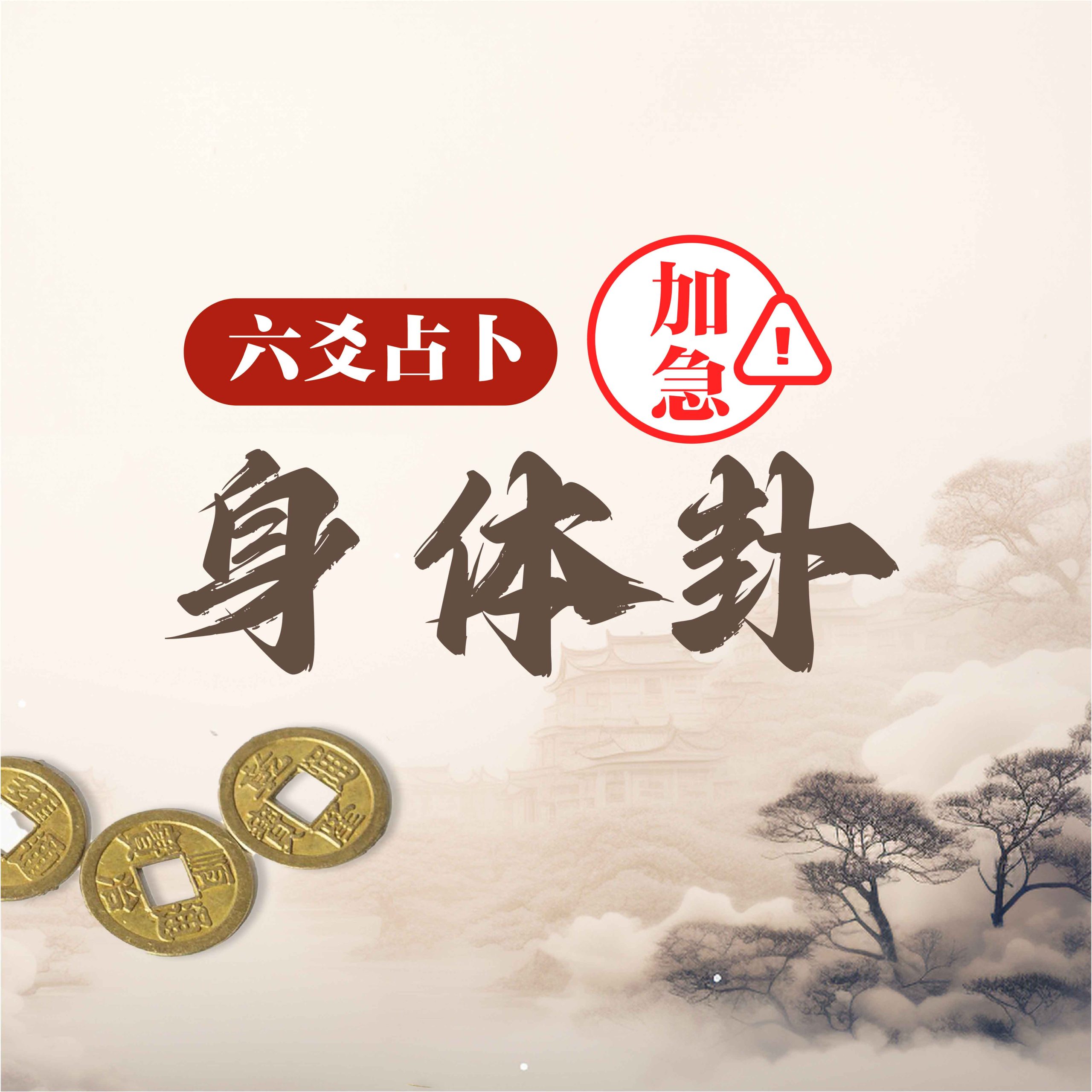 加急身体卦
