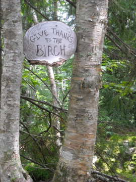 Tree Services Charleston Free Estimates Low Rates