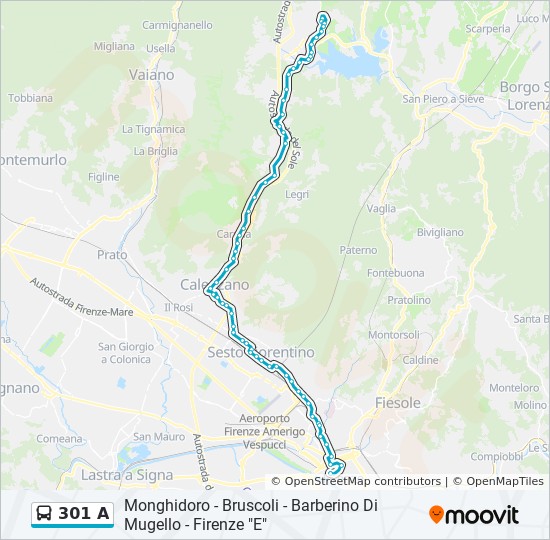 301 A Route: Schedules, Stops & Maps - Autostazione Busitalia Firenze (Updated) 540_x_550_jpg