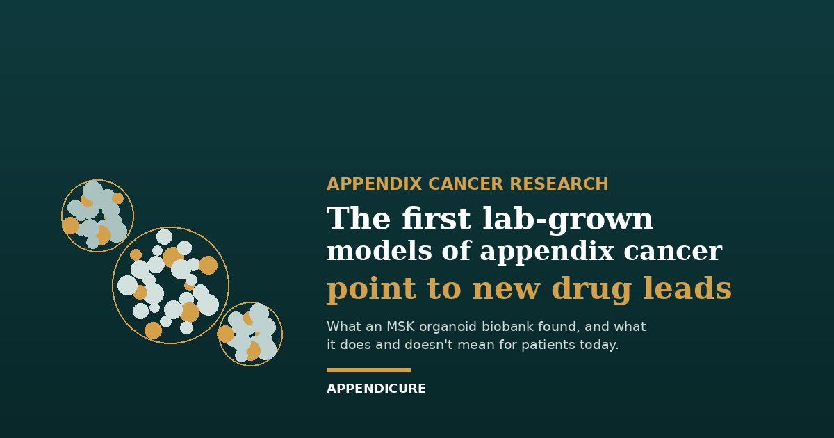 Appendix cancer organoids illustration on dark teal banner announcing new drug leads from MSK biobank study