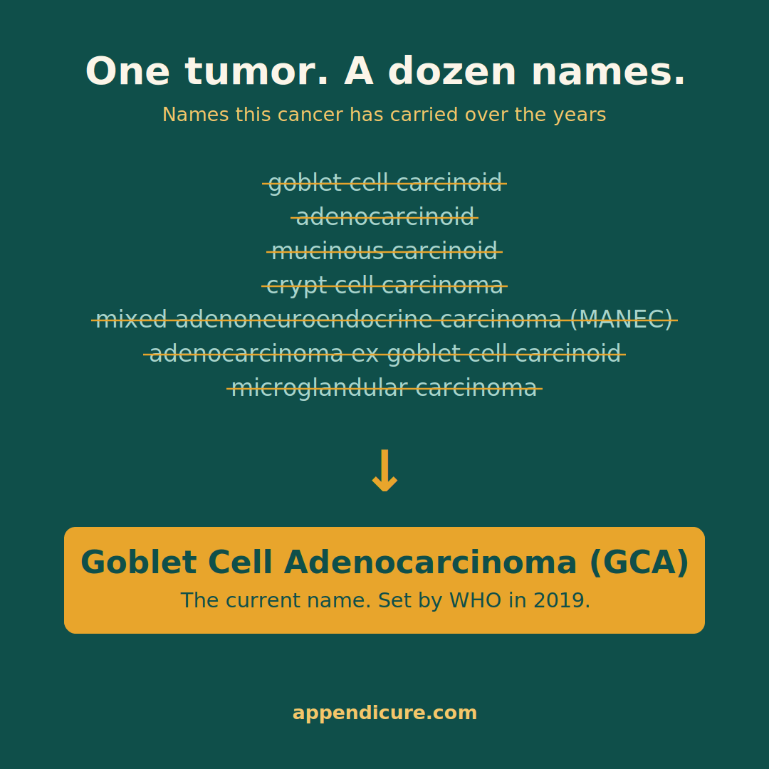 List of retired names for goblet cell adenocarcinoma including goblet cell carcinoid and MANEC, all replaced by goblet cell adenocarcinoma GCA in WHO 2019.