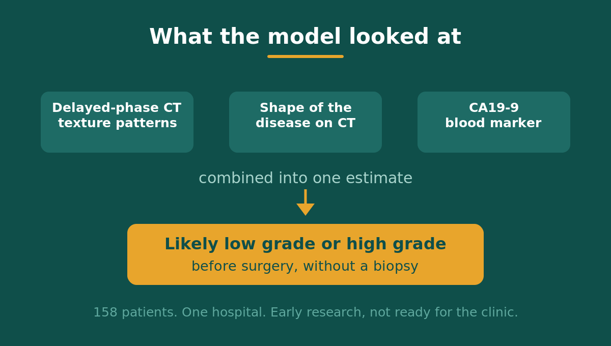 Diagram showing that the model combined delayed-phase CT texture, the shape of the disease on CT, and the CA19-9 blood marker to estimate whether pseudomyxoma peritonei is low grade or high grade before surgery, based on 158 patients at one hospital