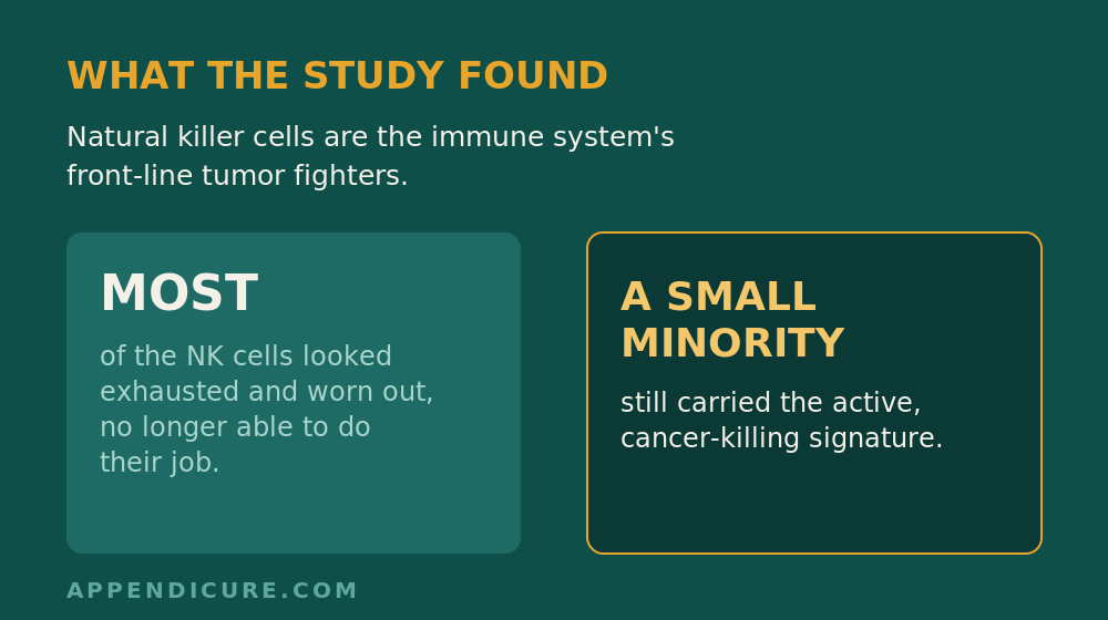 Appendix cancer immune escape shown in two panels: most natural killer cells looked exhausted while only a small minority kept an active cancer-killing signature