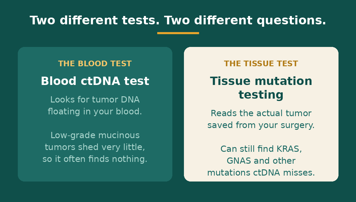 Appendix cancer mutation testing on tissue versus a blood ctDNA test