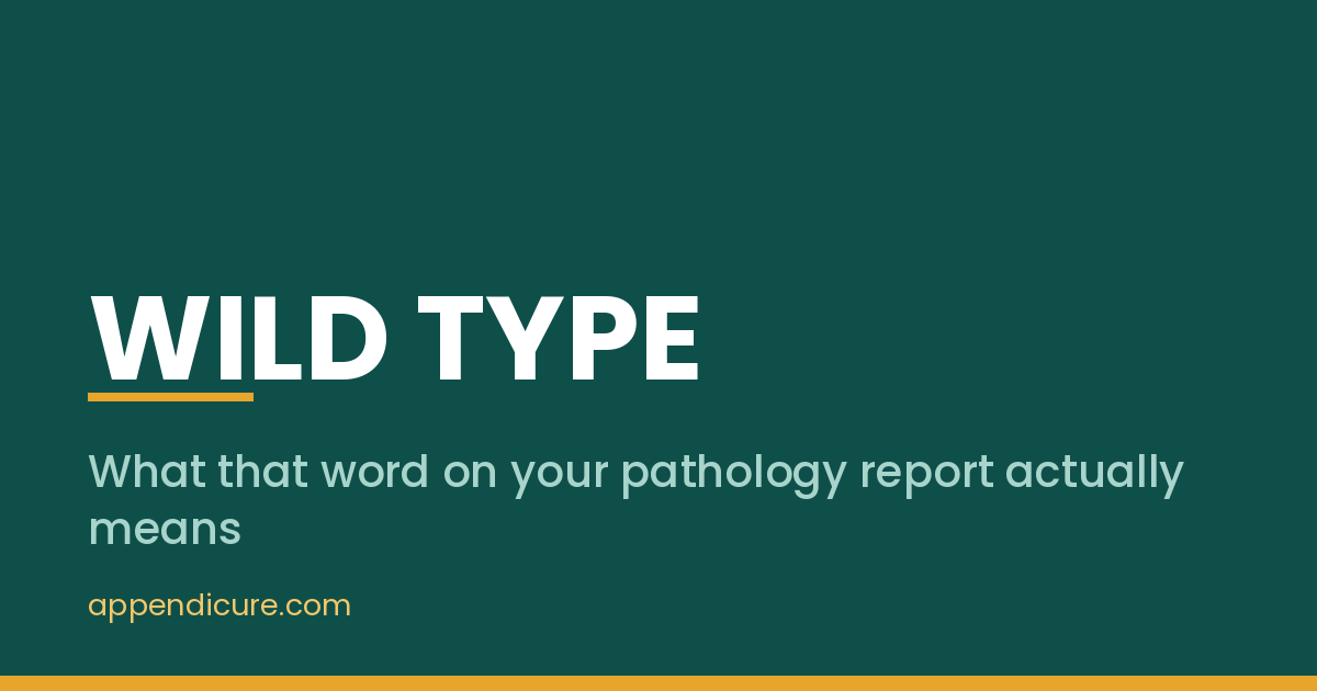 Wild type appendix cancer explained, what that word on your pathology report actually means