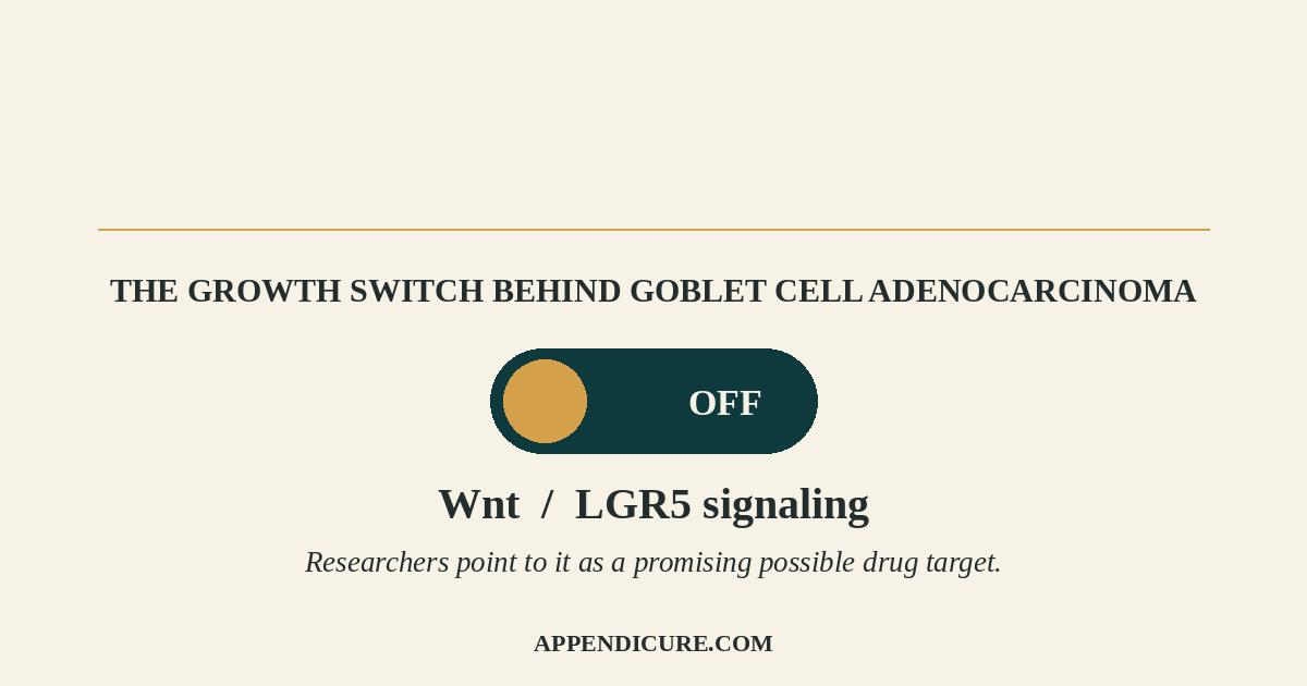 Toggle switch graphic showing Wnt and LGR5 signaling as a growth switch in goblet cell adenocarcinoma