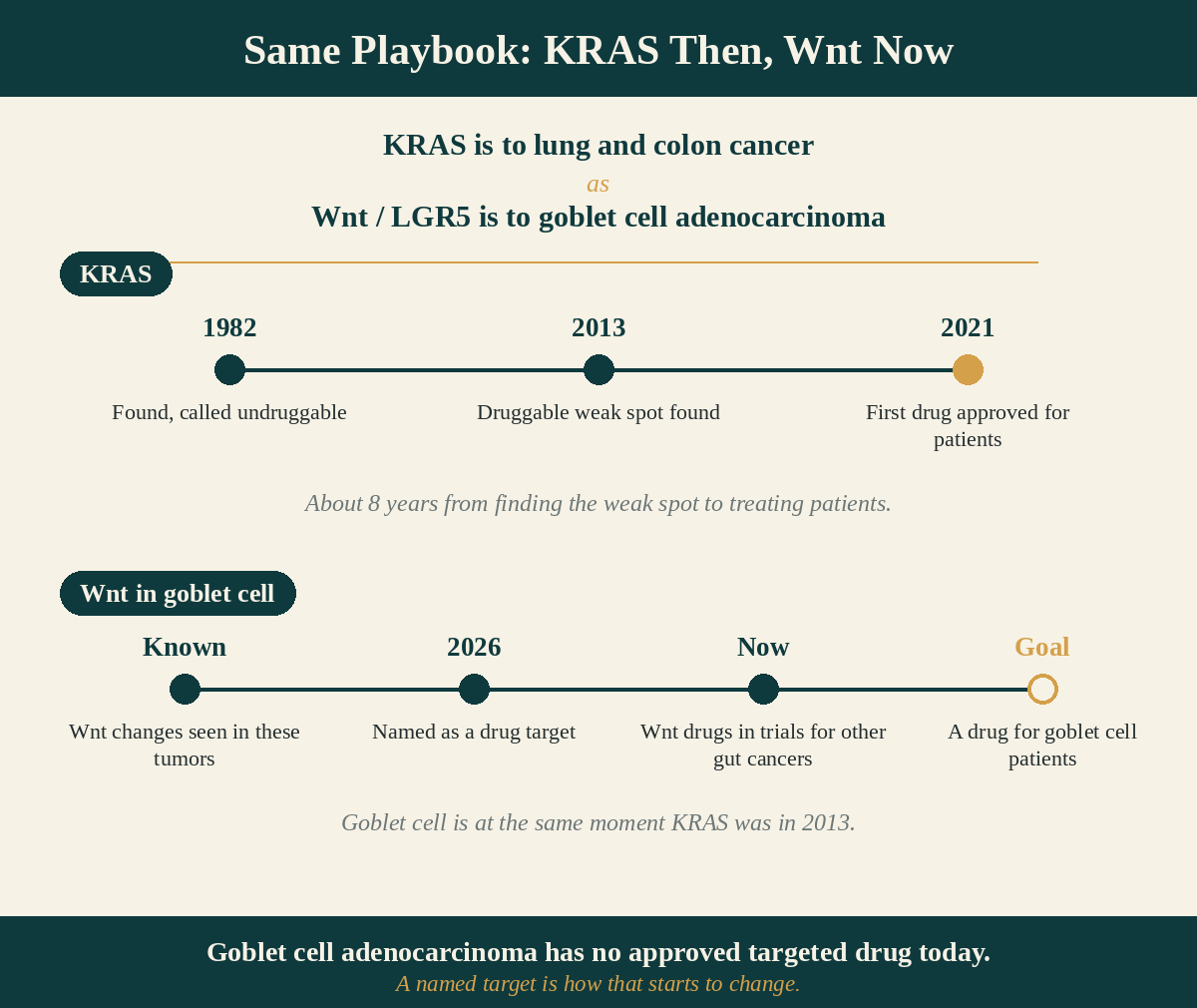 A chain of targeted-therapy milestones: imatinib in 2001 as the first targeted therapy, the first KRAS drug in 2021 after decades called undruggable, and the goblet cell Wnt signal now as the earliest step, with a note that the goblet cell finding is a broad pathway signal and still far from a drug