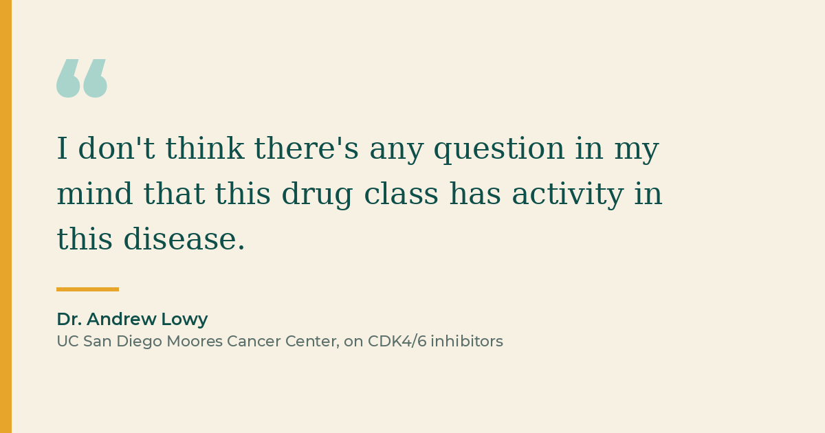 Dr. Andrew Lowy quote on Ibrance appendix cancer activity