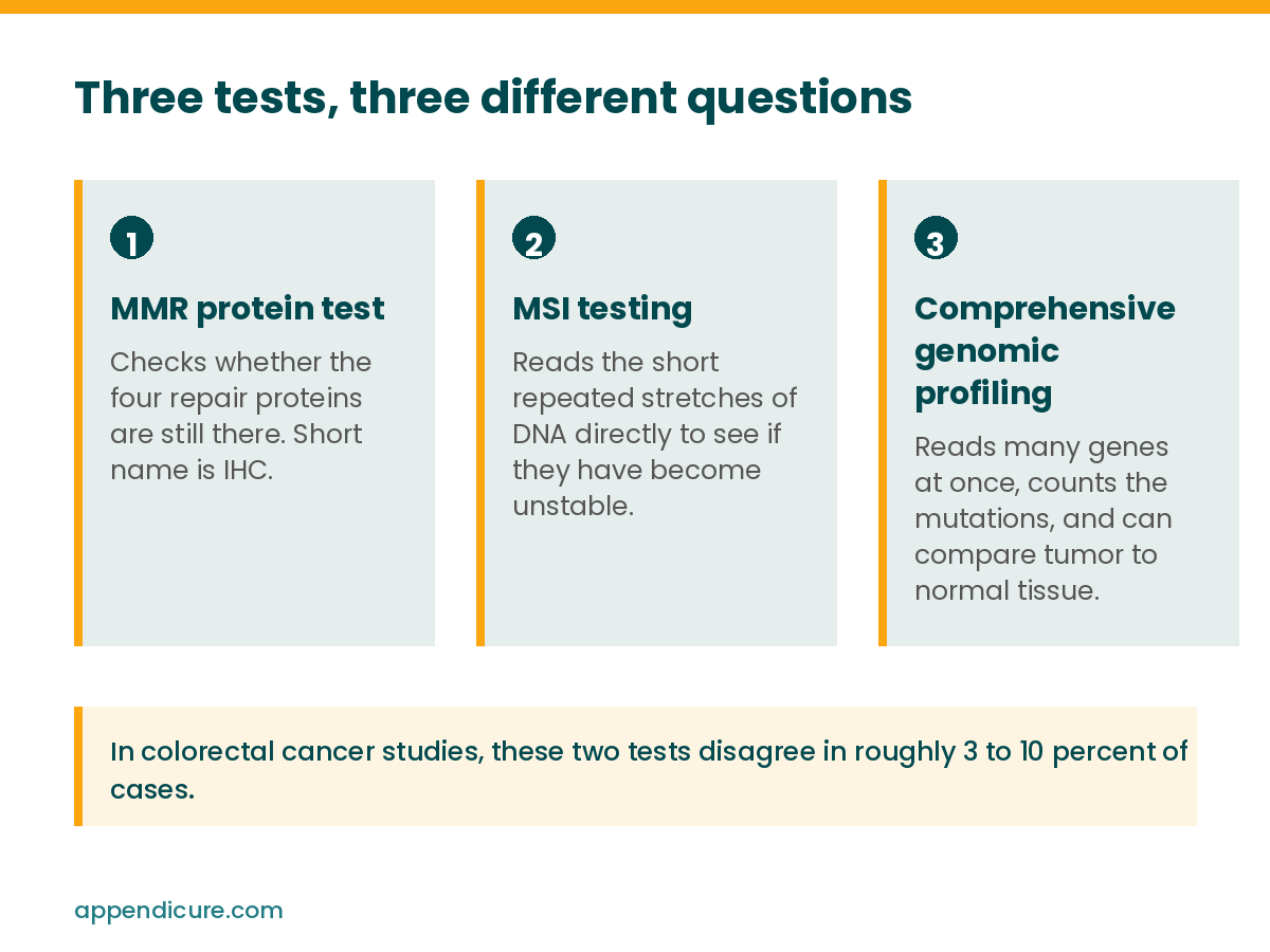 Three tests used in appendix cancer biomarker testing, the MMR protein test, MSI testing, and comprehensive genomic profiling