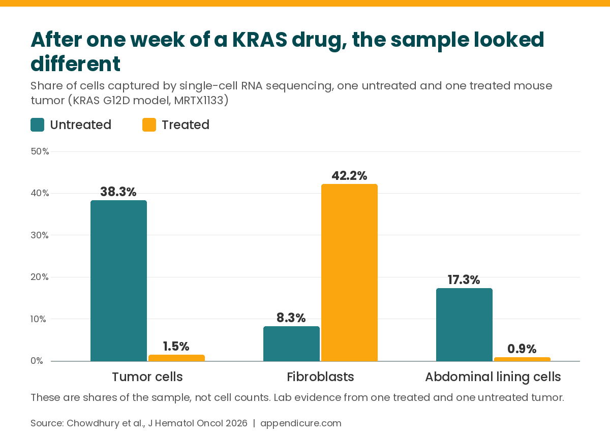 Bar chart of cell shares in a KRAS G12D appendiceal tumor model before and after one week of MRTX1133: tumor cells 38.3 to 1.5 percent, fibroblasts 8.3 to 42.2 percent, abdominal lining cells 17.3 to 0.9 percent
