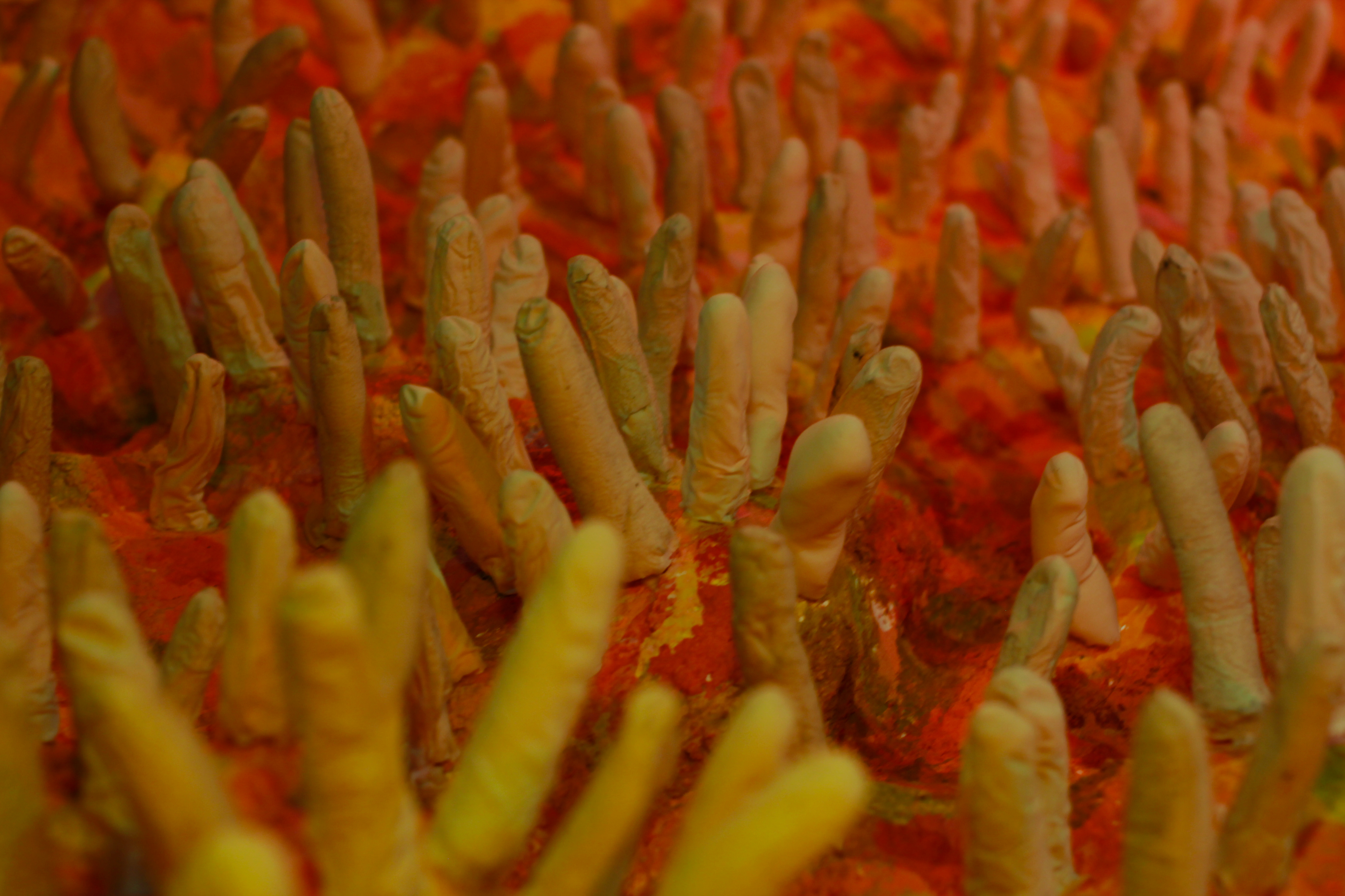 stomach tests_Appetite project_by Yagama