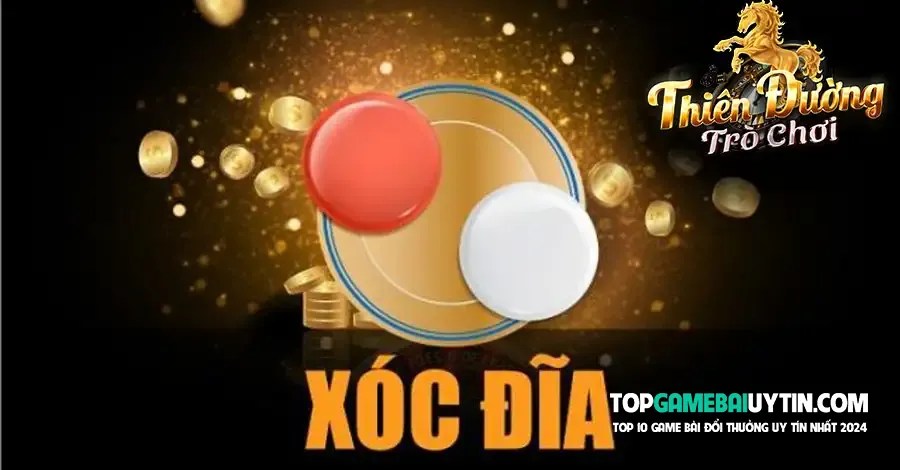 xoc-dia-x9-la-gi