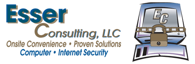 Curt Esser, Esser Consulting