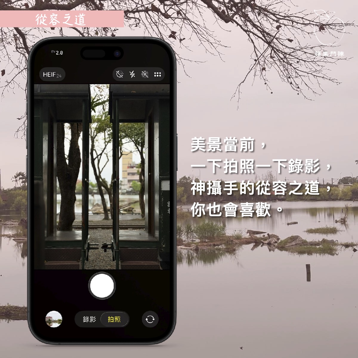 拍錄之間 從從容容 游刃有餘