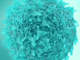 Cell Therapy Applied Cells