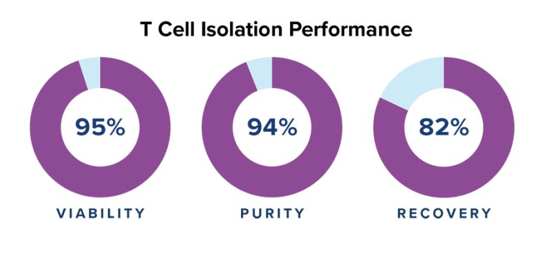 Applied Cells Opens The Cellquest Grant Applied Cells - Download Gorgeous Abstract Illustration | High Resolution