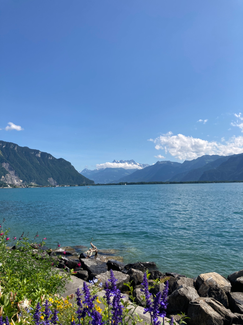 Overlooking Lake Geneva from Montreux