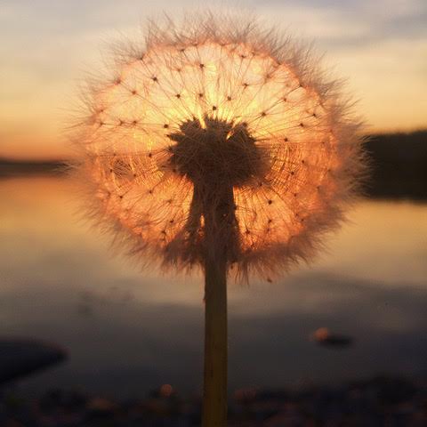 Processed with VSCO with c1 preset