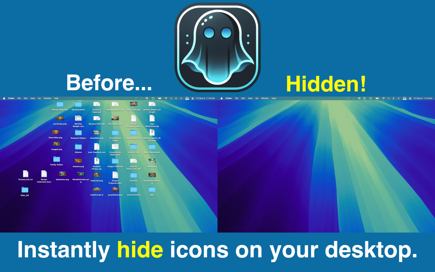 Desktop Ghost Pro for Mac Before and After Desktop files are hidden.