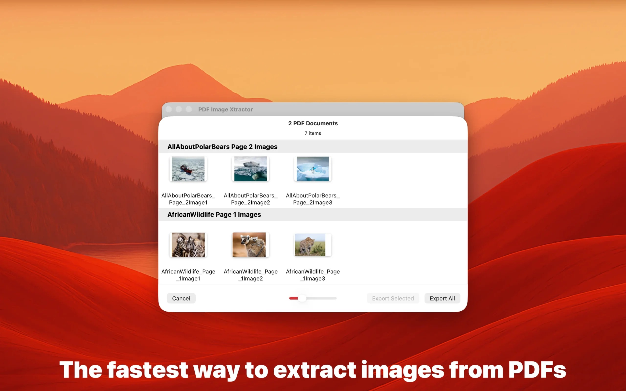 PDF Image Xtractor screenshot of export window batch export from multiple PDF documents.